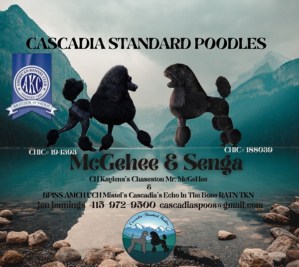 MCGEHEE&SENGA_edited_edited.jpg