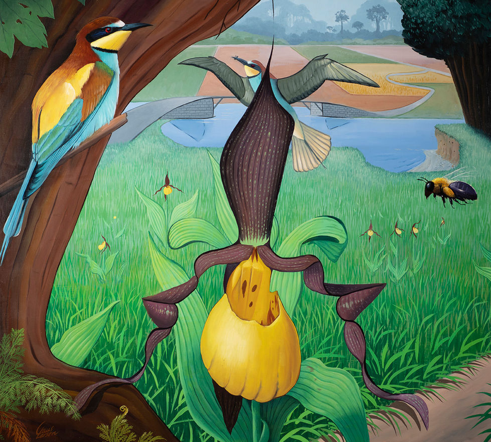 udyrkede arealer ind imellem landbrugsjorden til gavn for dyrelivet. 