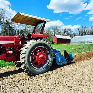 Sassafras Creek Farm