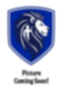 lion pic coming soon.jpeg