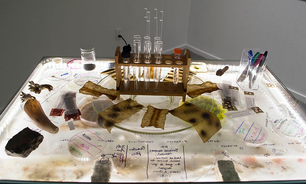 090 IAE_MW_Microbe Monopoly_NFleming.jpg