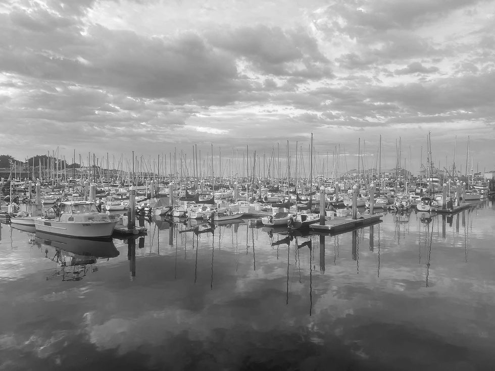 Monterey Bay Photo_edited.jpg