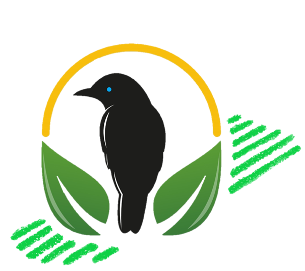 Logo PNV sans fond.png