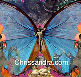 Chrissandra Unger Therapeutic Counselling.jpg