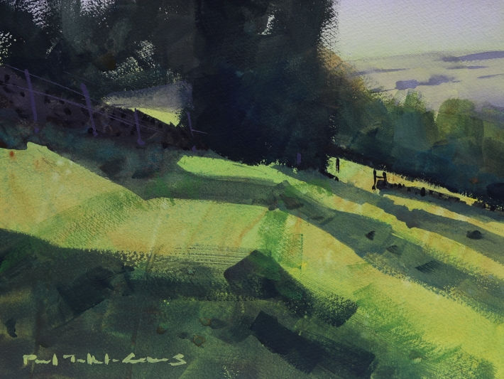 Shadows rake across summer fields