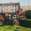Thumbnail: Field of old tractors, farm building behind. Painting by Paul Talbot-Greaves