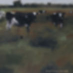 ree