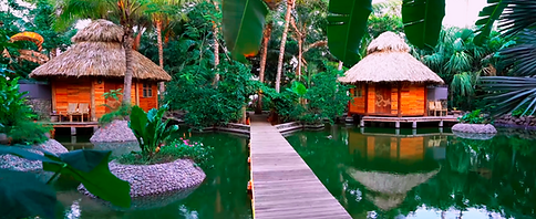 eco hotel mandala.png