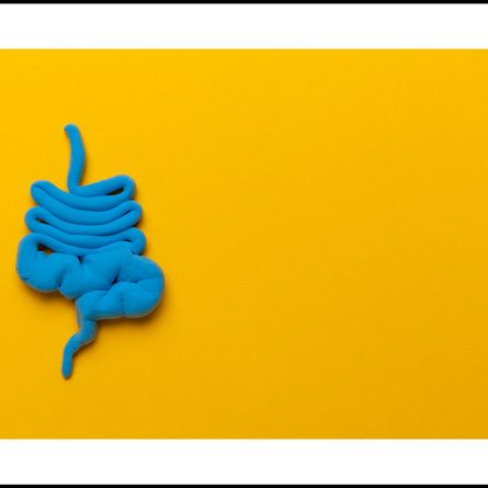 Navigating Irritable Bowel Syndrome (IBS)