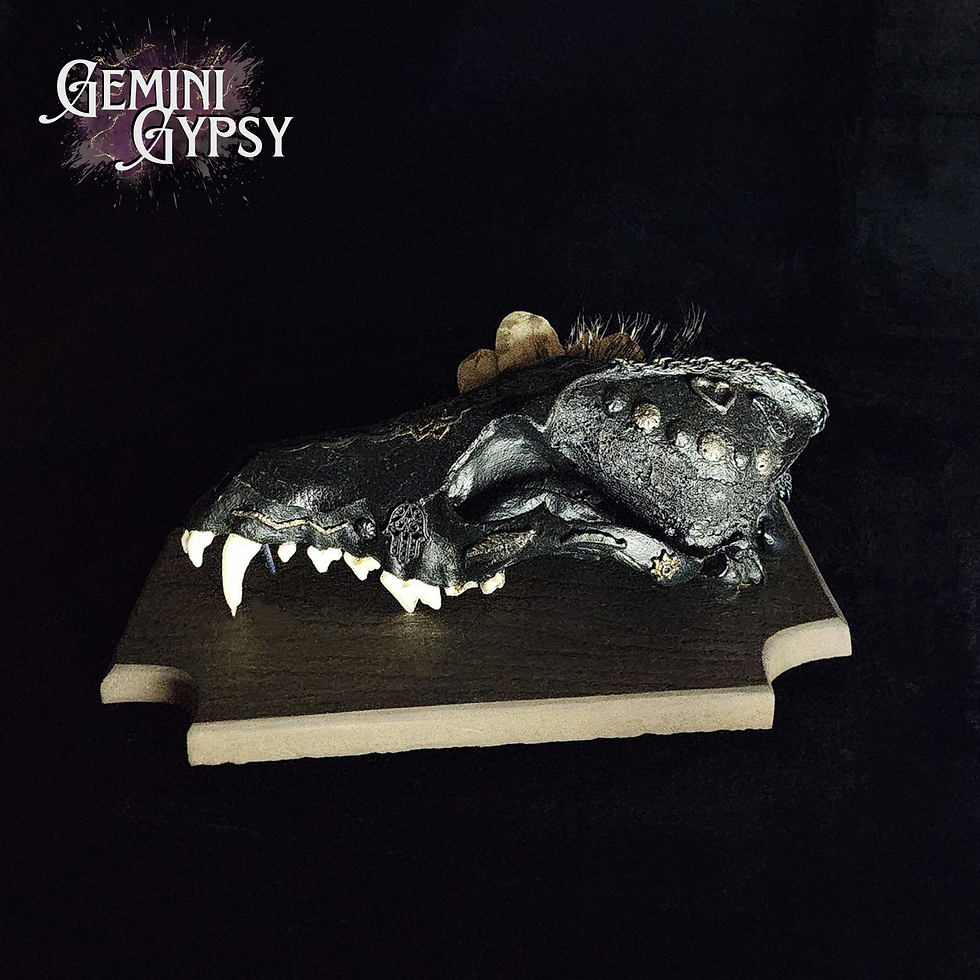 Thumbnail: Coyote Skull Wall Mount