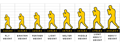 Boxing Weight Class Vocabulary - July 17