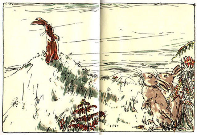 The Velveteen Rabbit in Summer Time --- 5---.jpeg