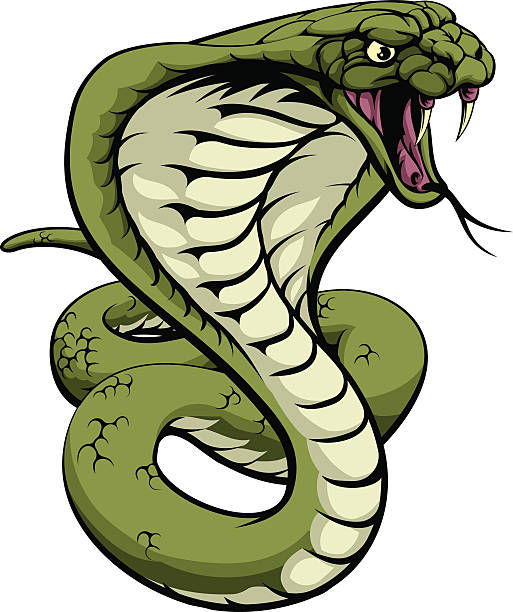 King Cobra --- Cartoon Drawing --- November 6 2025 --- istockphoto-519268976-612x612.jpg