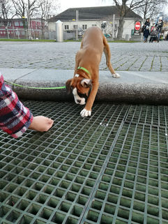 WhatsApp Image 2020-12-07 at 18.23.48.jpeg