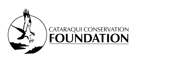 FoundationLogoWeb.gif