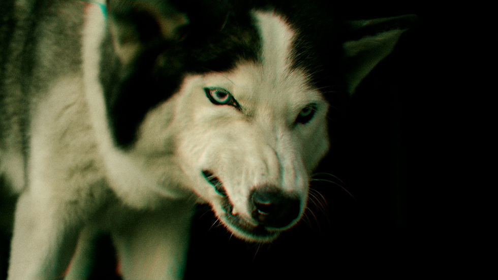 EDIT_04.00_00_27_03.Still029