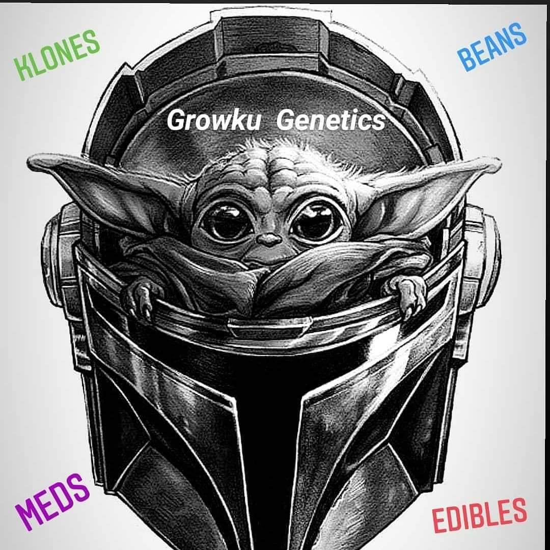 Writer: Growkugenetics@gmail.com