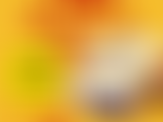 TV番組で商品が紹介されました