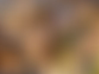 duvida na escolha da casa ideal