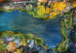 Cannop Ponds Scoping [ARUP] -Riparian barriers