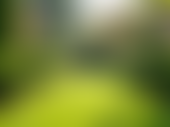 What Your Monthly Landscape Maintenance Includes