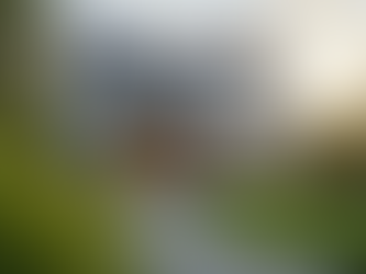 What Monthly Property Maintenance Includes: Your Guide to Monthly Property Care