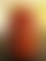 Bánh tráng sa tế tỏi