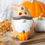 Miniature : Diffuseur Gnome Automne brun