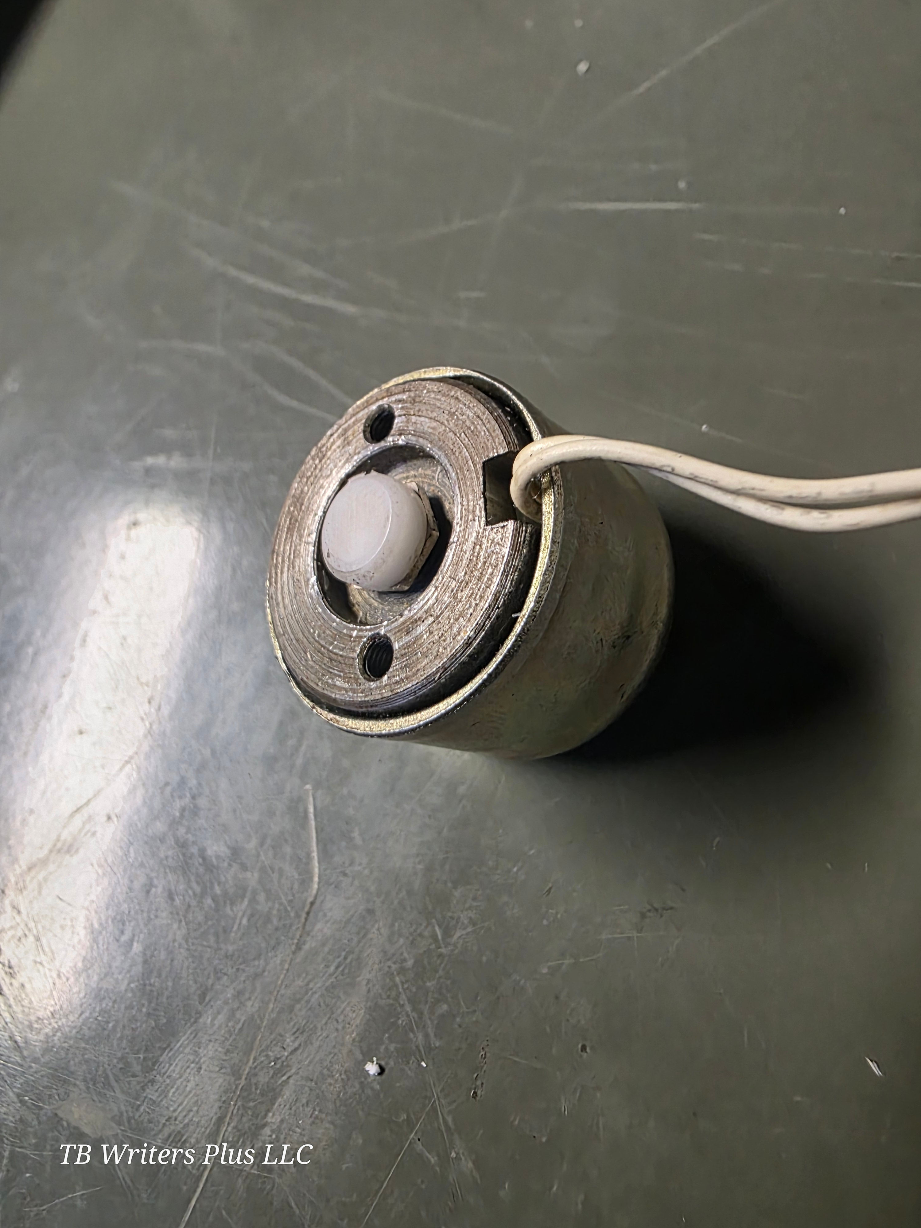 IBM Wheel Writer Type Solenoid Pads