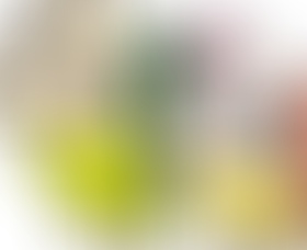 すぎなみ里親プロジェクト