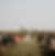 Alberta Wedding Venue - Willow Lane Barn