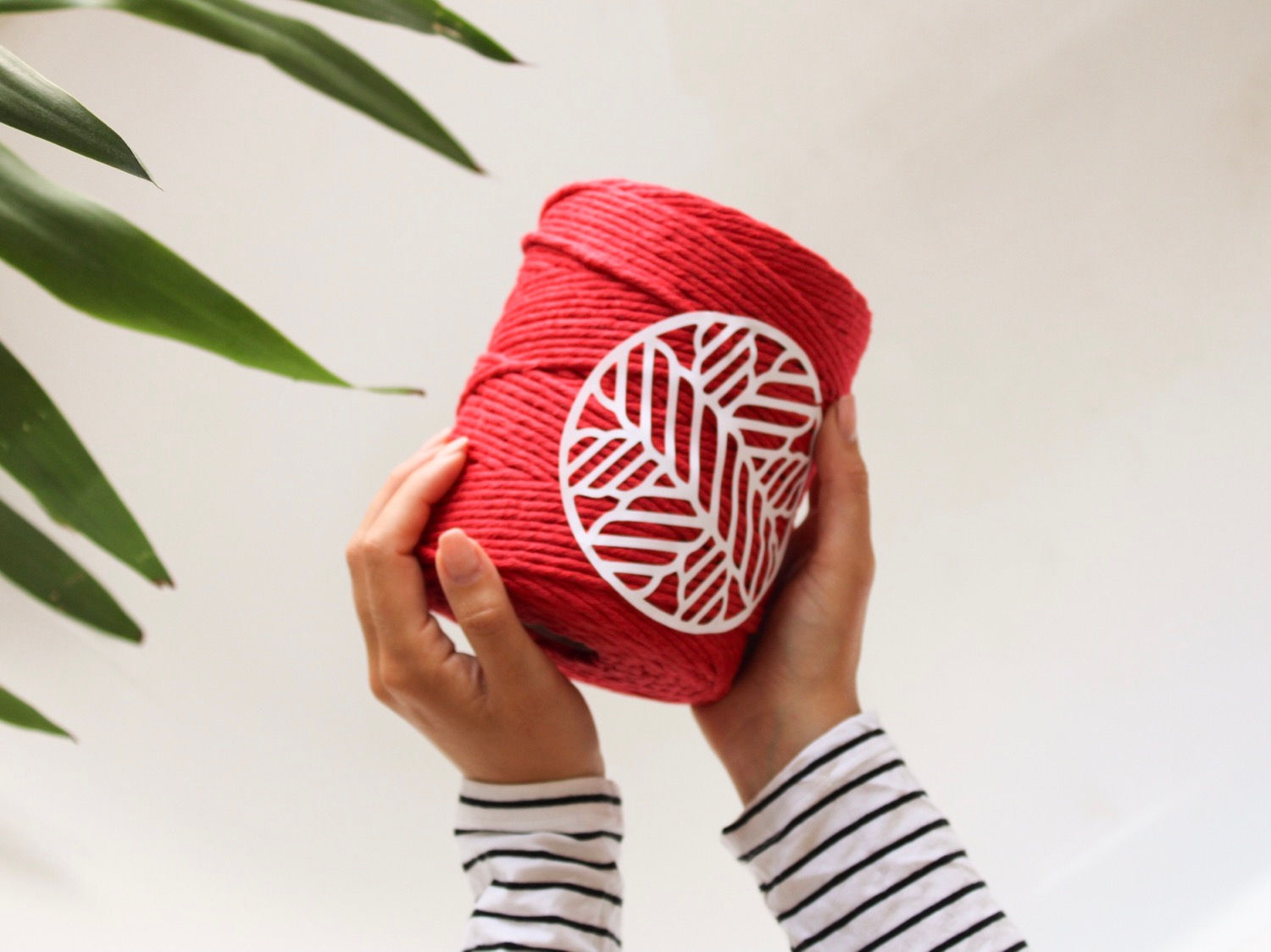 3.5mm Single Ply Redy or Knot Macrame Cord 