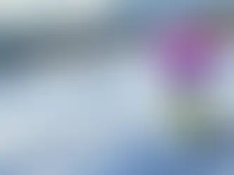 The Crocuses are Coming!