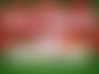 Gulf Coast Town Center Toy Drive!