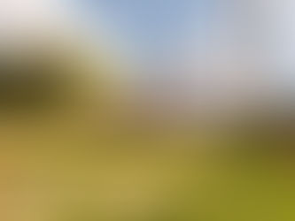 Montag Stiftung im Interview: „Zu gutem Boden und guten Menschen braucht es auch das gute Geld“