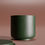 Miniature : bougie colorée vert sapin signature