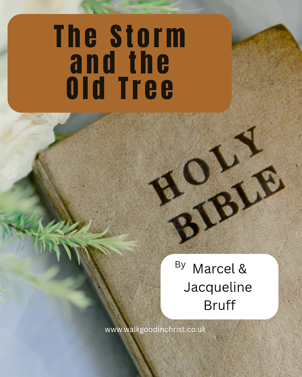 The Storm & The Old Tree by Marcel and Jacqueline Bruff