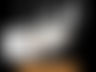 The importance of children in Evangelism