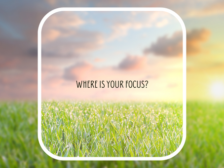 Where is your focus?