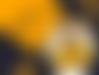 The Profit of making the right decisions by Pastor Samson Bodjor