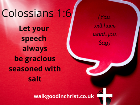 Let the words we speak be gracious and seasoned with salt