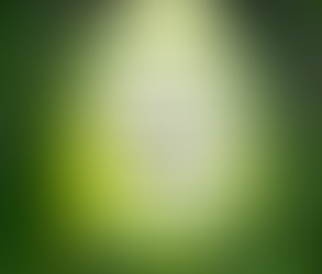 Mystery of the gospel Part 1 by Marcel & Jacqueline Bruff