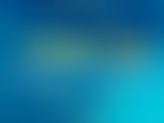 Thank you by Minister Owen Mitchell