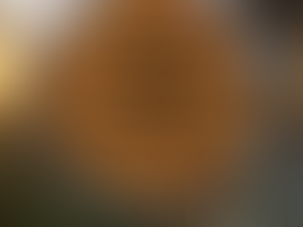 All things (even opposition) works for our good and God's glory