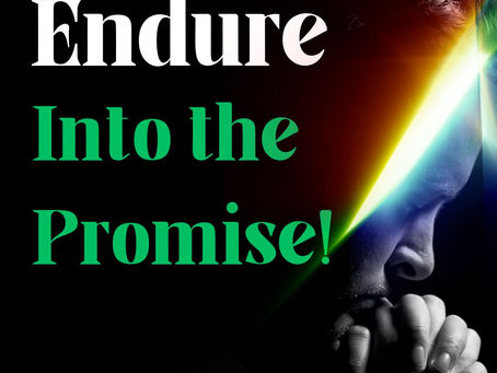 Endure into the promise