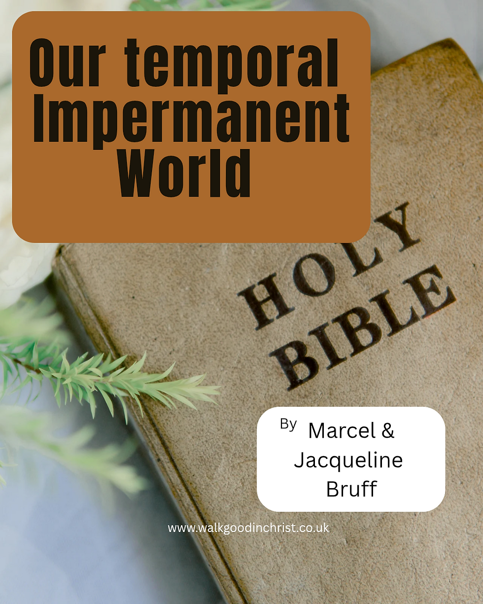 Our Temporal Impermanent World