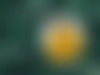 Critical discoveries to make in Life by Pastor Samson Bodjor