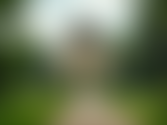 Memoria Storica e Cittadinanza Attiva: Un Imperativo