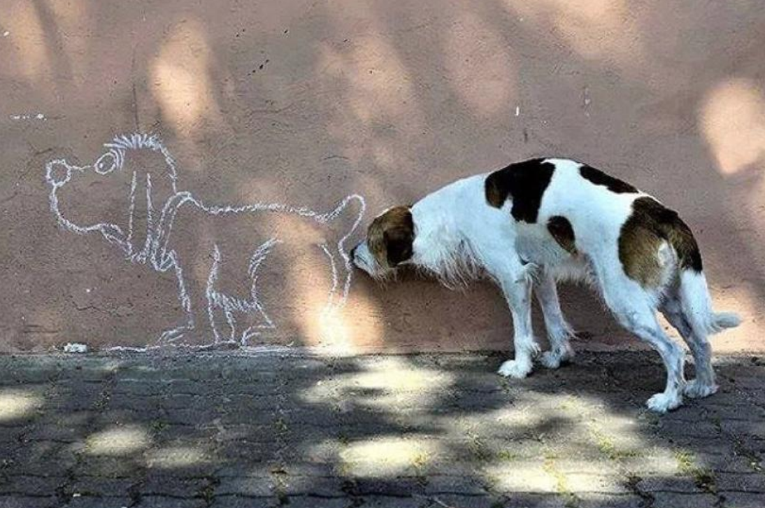 Street art