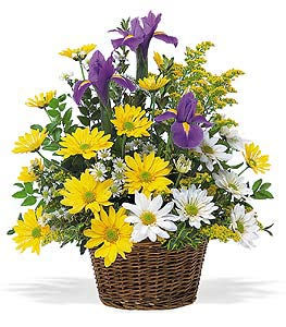 Smiling Spring Basket TF58-1